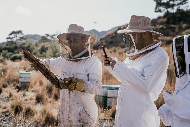 30-Minute Guided Honey Tasting Activity in Melini - Key things I’d bet you’ll notice at Melini