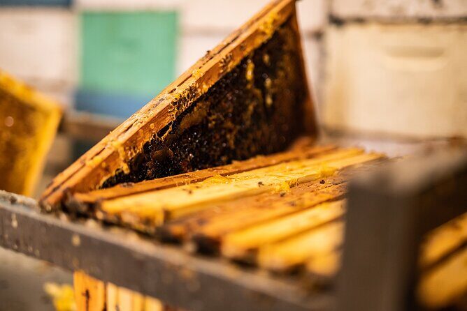 30-Minute Guided Honey Tasting Activity in Melini - Videos, interactive games, and bee therapy without the fluff