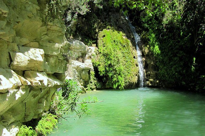 4 hour Quad & Buggy Safari Akamas(lara Bay) & Adonis Falls - Driver Rules, Safety Gear, and the Dust You Can’t Ignore