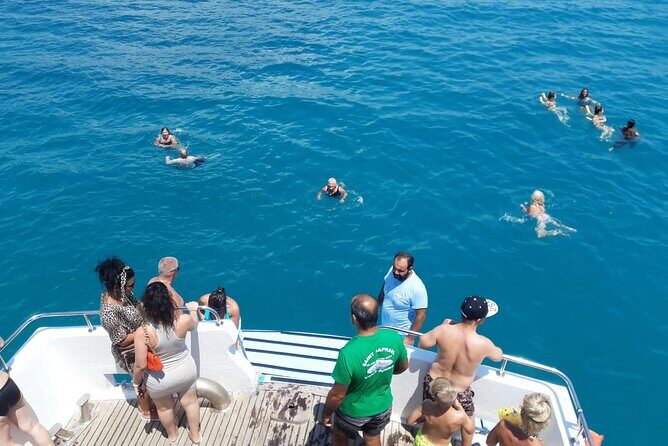 90-Minutes Glass Bottom Trip With Quick Dip - Stop 3: reefs, marine life, and the best wildlife odds (including turtles)
