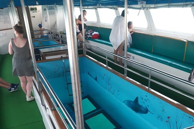 90-Minutes Glass Bottom Trip With Quick Dip - The swim part: fun, brief, and easy to manage