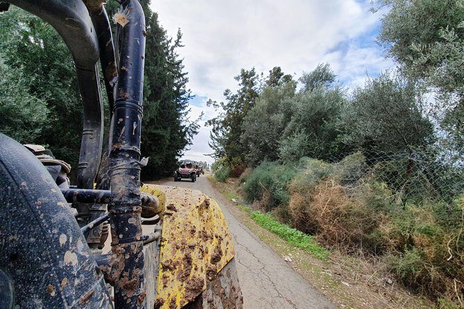 Beach & Off road Buggy Safari in Paphos - Who should book this safari, and who should skip it