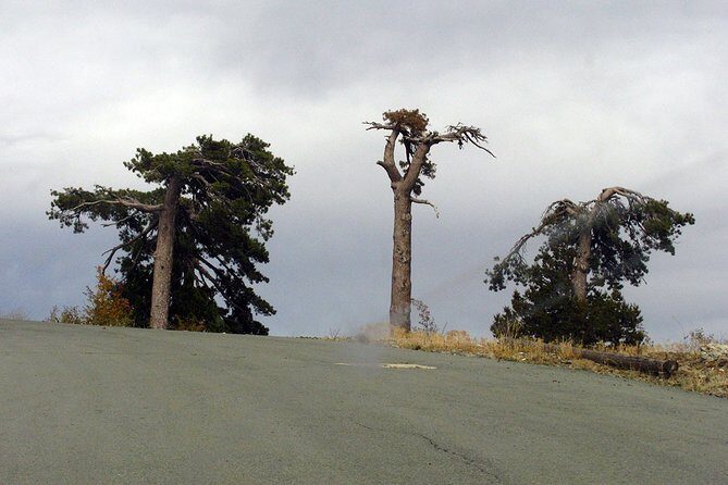 Beauty, Nature and Charm of Troodos Mountains from Paphos - A Troodos Day That Mixes Water, Wine, and Villages