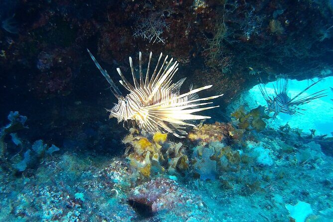 Beginners Discover Scuba Diving By Boat, Best Spot In Cyprus - A First-Time Scuba Lesson With Real Structure