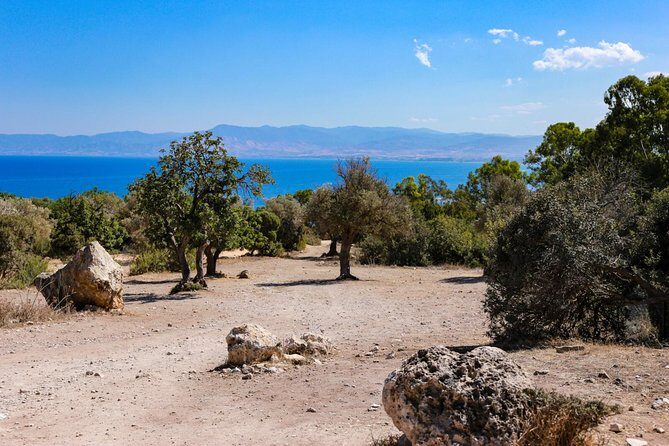 Blue Lagoon and Aphrodite’s Birthplace Day Tour from Limassol - Latchi Beach break: the fishing village reality check