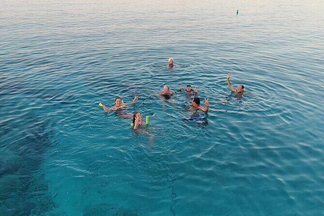 Blue Lagoon Cruise with Sightseeing from Latchi Harbour - The Blue Lagoon Hour: Swim, Snorkel, and Fish-Spotting
