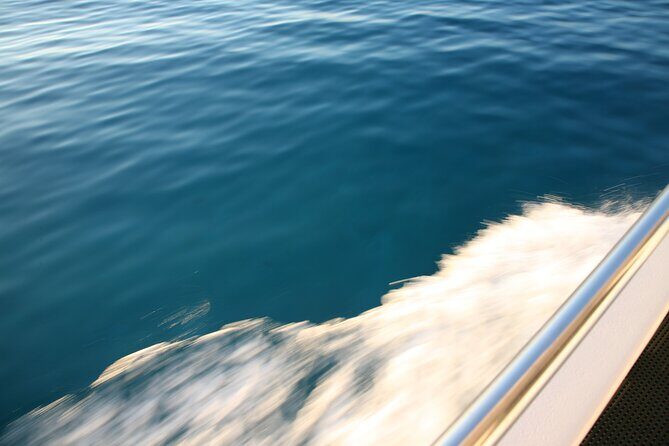 Blue Lagoon Mediterranean One Boat Cruise from Latchi - The Captain’s Gift: Wine, Fruit, Juice, and the 18+ Detail