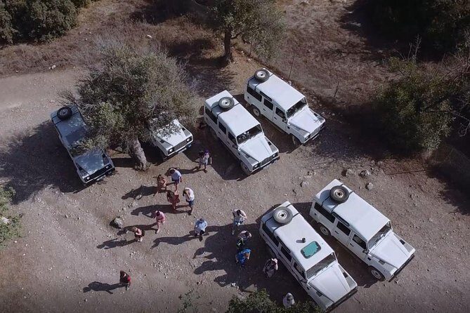 Cruise and 4X4 Safari Tour at Akamas Peninsula from Paphos - Why Akamas from Paphos is such an efficient day trip
