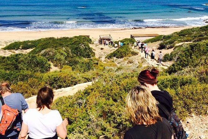 Cruise and 4X4 Safari Tour at Akamas Peninsula from Paphos - Baths of Aphrodite: legend, photos, and limited time