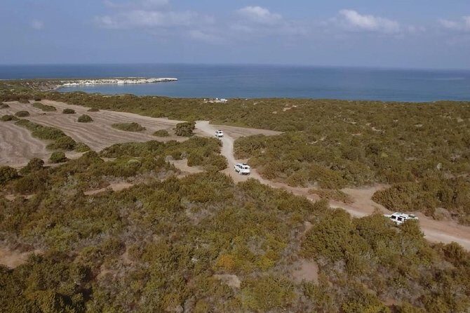Cruise and 4X4 Safari Tour at Akamas Peninsula from Paphos - Lunch with wine or soft drink: good to have, not always a food highlight