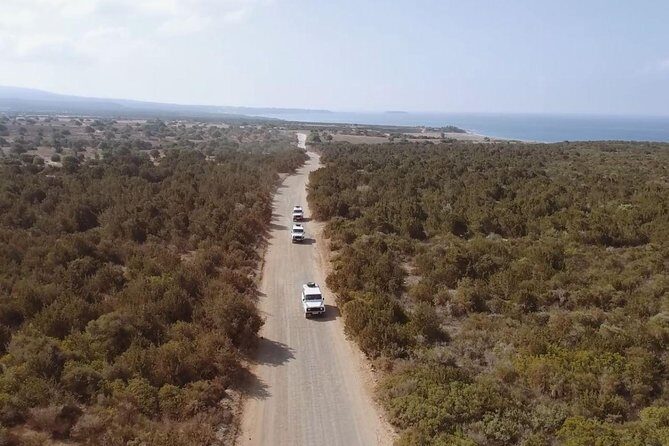 Cruise and 4X4 Safari Tour at Akamas Peninsula from Paphos - 4x4 safari transport: the ride is part of the experience