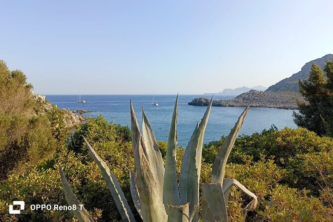 Day Trip to the Paphos amazing sides from Limassol. - Stop 2: Kato Paphos Archaeological Park and the mosaic highlights