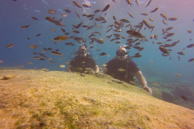 Discover Scuba diving - Key Highlights You’ll Feel Immediately