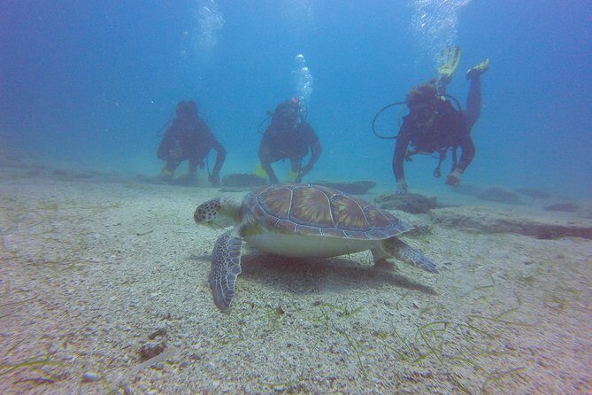 Discover Scuba diving - The Green Bay Plan: What Happens During the 3 Hours