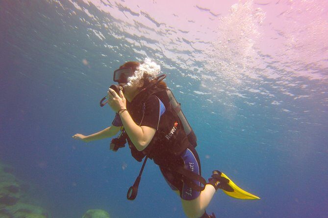 Discover Scuba diving - Price and Value: Is $102.79 a Fair Deal?