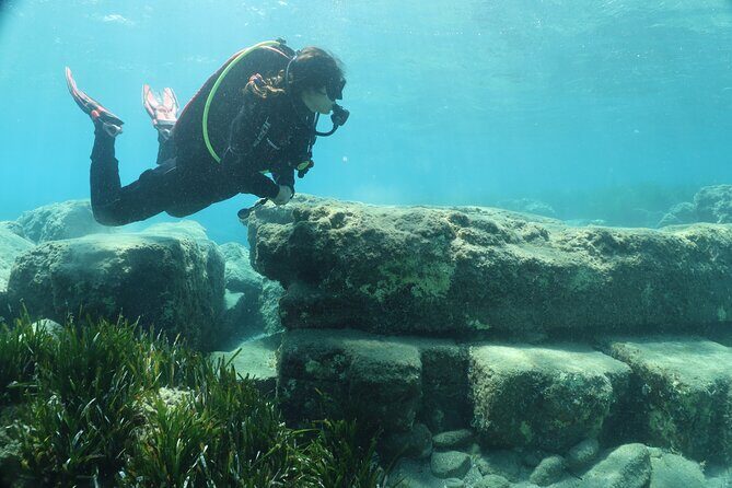 Discover Scuba Diving Amathounta's Ancient Port - Marine Life in Limassol: What You’ll Be Looking For