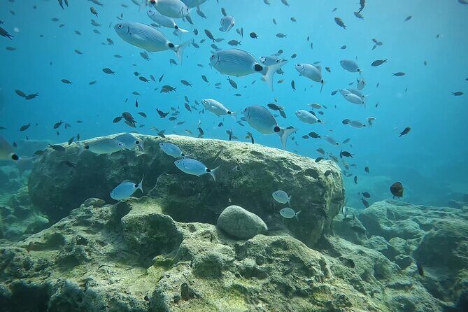 Discover SCUBA Diving with Pissouri Bay Divers - Underwater exploration: calm, weightlessness, and real marine life