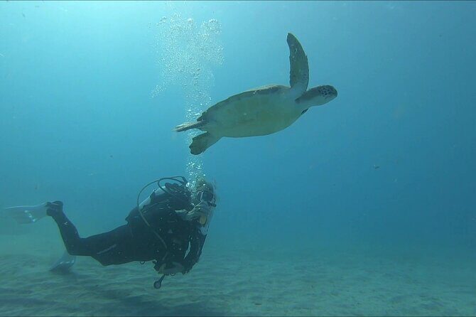 Discover SCUBA Diving with Pissouri Bay Divers - Price and value: is $145.18 a fair deal?