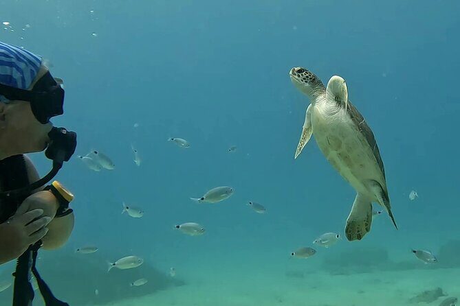 Discover SCUBA Diving with Pissouri Bay Divers - Who this is best for (and who should think twice)