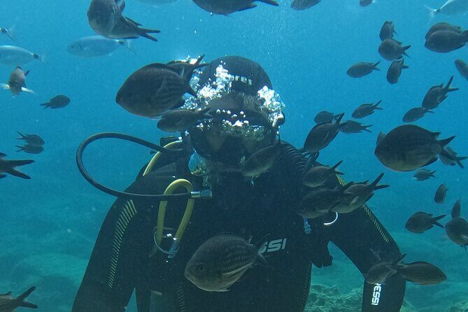 Dive The Rock (Scuba Diving Experience in Protaras) - Quick Highlights (What Matters Most)