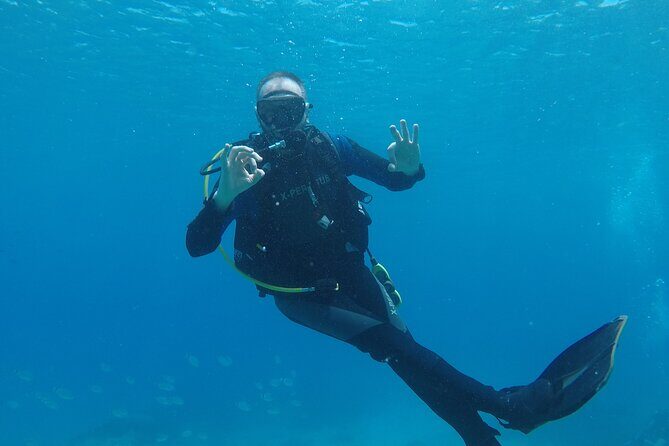 Dive The Rock (Scuba Diving Experience in Protaras) - Who Should Book This Experience in Protaras
