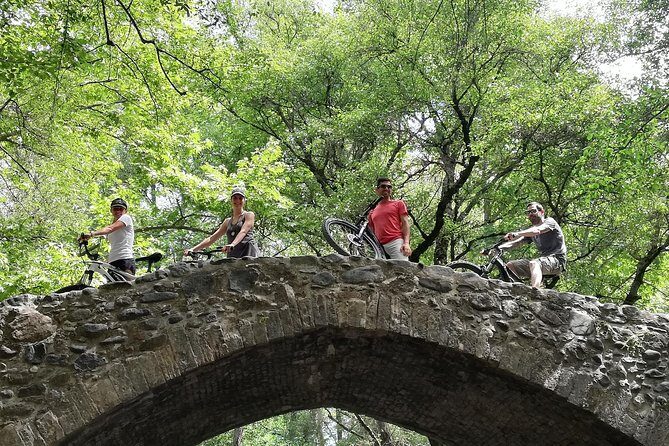 Explore Paphos forest with e-mountain bikes - Key highlights to know before you go