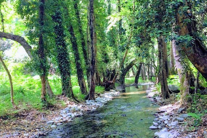 Explore Paphos forest with e-mountain bikes - Milikouri village break at Platanos: coffee, mezze, and real quiet
