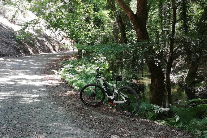 Explore Paphos forest with e-mountain bikes - How the 4 hours add up (and why biking time feels shorter than you expect)