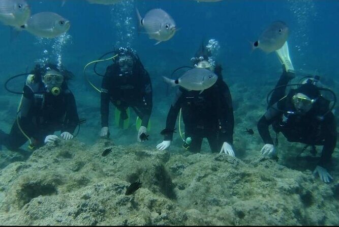 First Time Scuba Dive Adventure, Makronissos, Ayia Napa - Makronissos Beach check-in: how the 2.5 hours runs