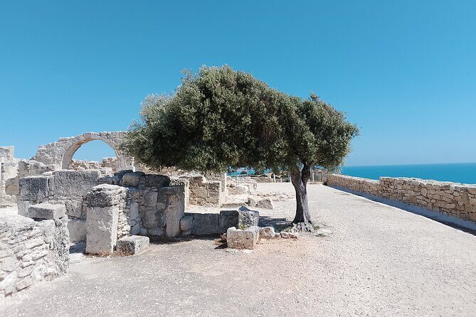 From Limassol, Aphrodite Rocks and Kourion Archeological Side - Kourion Archaeological Museum: Where the Greco-Roman Story Gets Physical