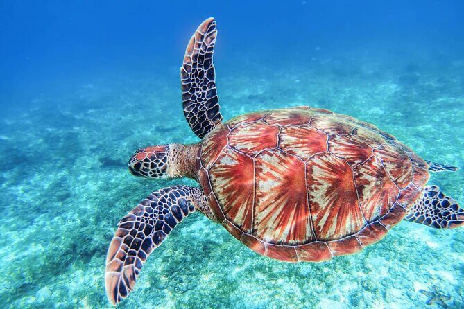From Protaras: Turtle Cove & Blue Lagoon Cruise - On-board comfort: Wi‑Fi, restrooms, and the ship’s little details