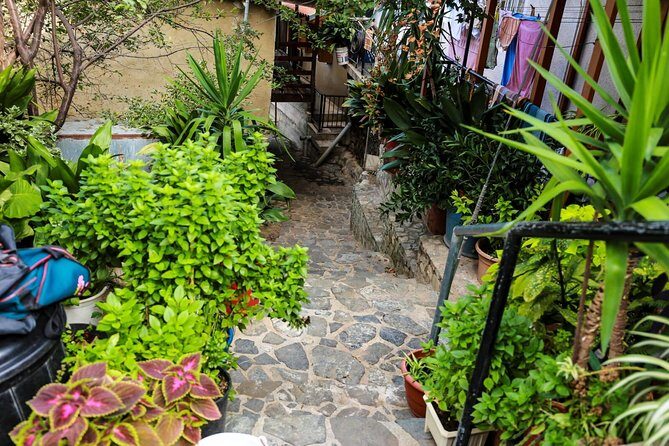 Gourmet Cyprus Tour – Local Flavors & Wine from Paphos - First taste of Cyprus from Paphos: what this day is really about