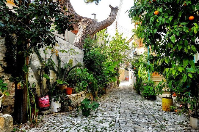 Gourmet Cyprus Tour – Local Flavors & Wine from Paphos - Kafkalia smokehouse in Agros: hiromeri, sausages, and that wood-smoked hit