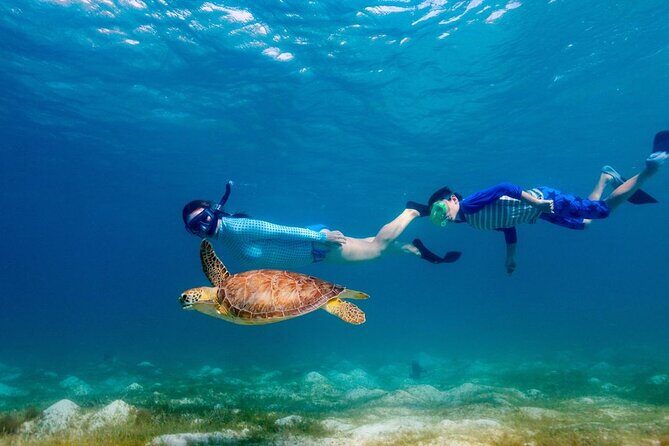 Guided snorkeling trip to the turtles in Protaras - The one-stop schedule at Green Bay Beach: pros and tradeoffs