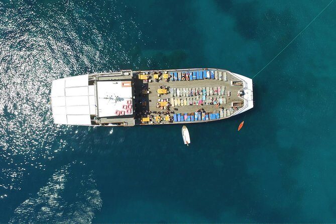 Half Day BBQ Lunch Cruise from Paphos - Price and value: what you actually get for $80.42