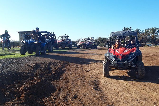 Half-Day Buggy Safari to Akamas Peninsula with Lunch - How the half-day pace works in real life