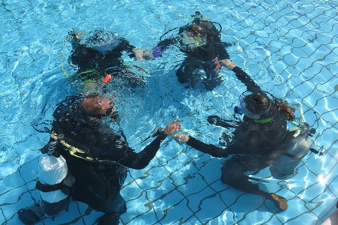 Half-Day Scuba Diving Tour - Discover Scuba Diving! - The Open Water Part: Roman Wall Shore Dive in Paphos