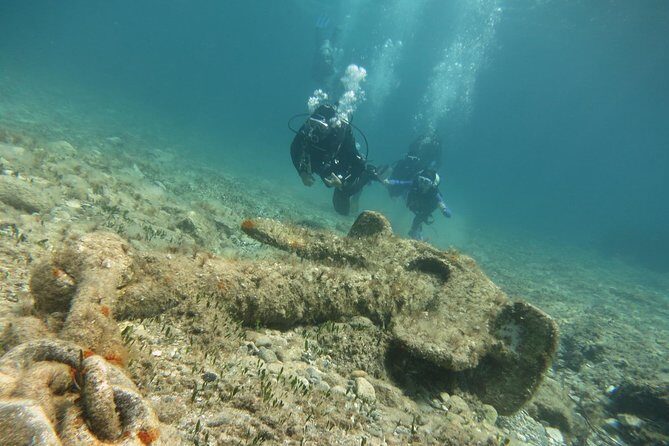 Half-Day Scuba Diving Tour - Discover Scuba Diving! - Equipment, What’s Included, and the Real Value of $100.37