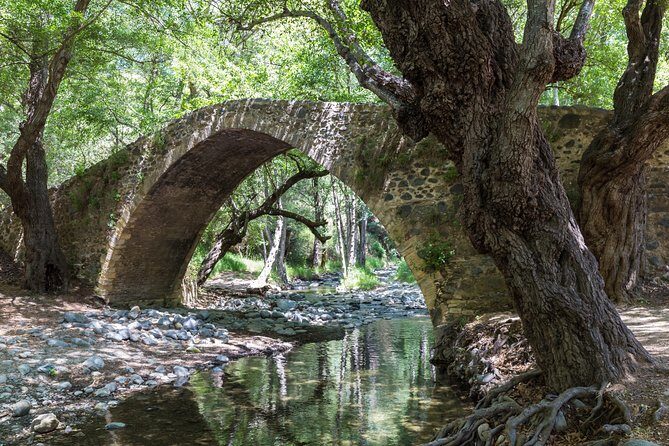 Individual Tours from Paphos - Food sampling and local-life moments