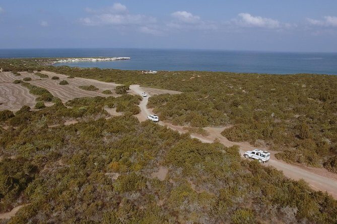 Jeep Safari Akamas from Paphos - Key points before you go