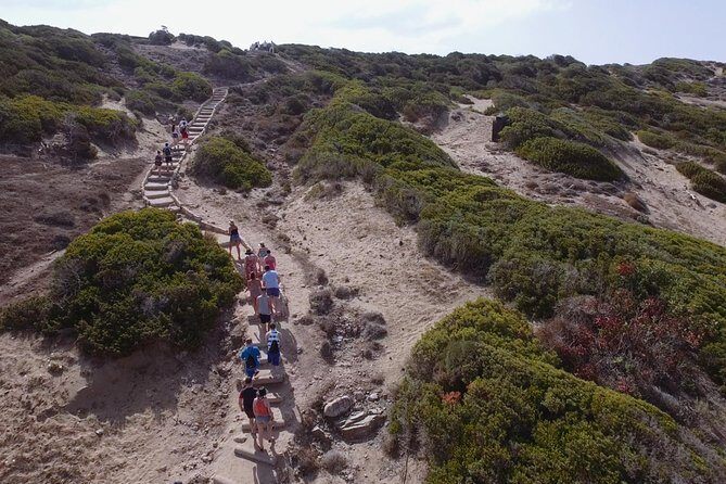 Jeep Safari Akamas from Paphos - Akamas Peninsula viewpoint and Baths of Aphrodite: quick meaning, fast photos