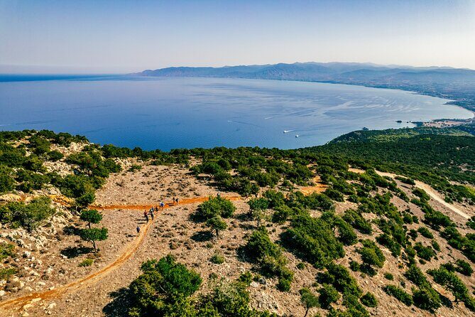 Jeep Safari to Akamas from Limassol - Lara Beach and the turtle conservation work you’ll actually learn from