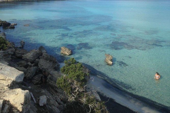 Jeep Safari to Akamas National Park: Avakas Gorge Tour from Paphos - Jeep Safari to Akamas: why this day trip works so well