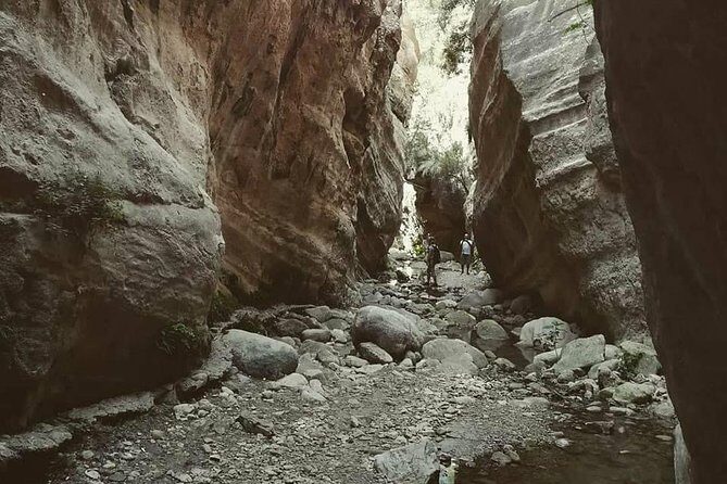 Jeep Safari to Akamas National Park: Avakas Gorge Tour from Paphos - Akamas Peninsula swim stop (April–November) and the Blue Lagoon feel
