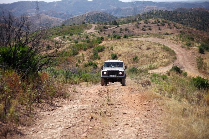 Jeep Safari to Akamas National Park: Avakas Gorge Tour from Paphos - Latchi lunch break: seafood area time, not a forced meal