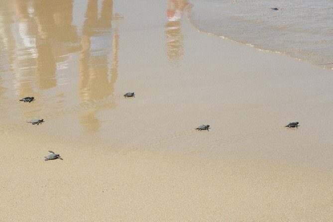 Jeep Safari to Akamas National Park: Avakas Gorge Tour from Paphos - Baths of Aphrodite: legend, shade, and mixed opinions