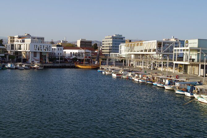 Limassol Private Walking Tour with a Local - Amathus and archaeological stops: a good fit for history-minded walkers