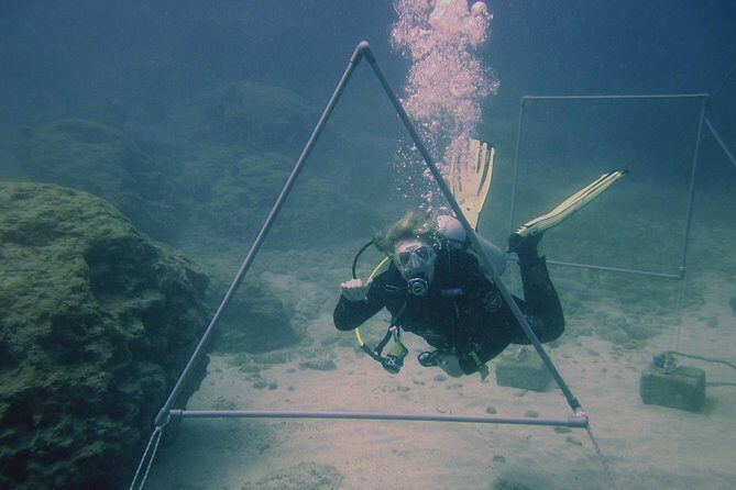 Local Guided Dives (for certified/licensed divers) - Small-group Protaras scuba with transfers and real attention