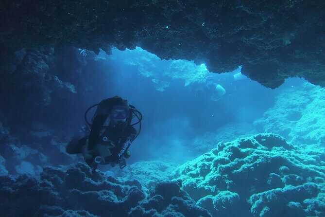 Local Guided Dives (for certified/licensed divers) - Underwater highlights by location: what you can aim for