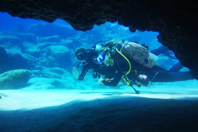 Local Guided Dives (for certified/licensed divers) - Equipment, photos, and logbook time back at the centre